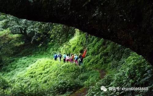 猫交配时,为什么叫声凄惨?公猫为什么要咬母猫的后颈?-专业问答平台,汇集专家解答